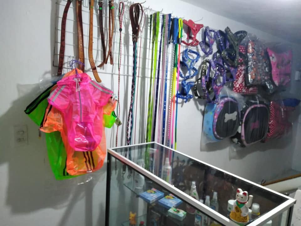 Productos de cuidado y accesorios para mascotas DePet Mode